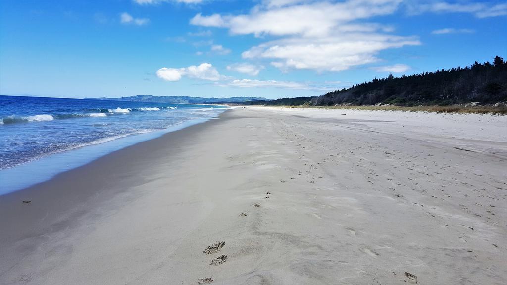 Close To Beach Daire Auckland Dış mekan fotoğraf