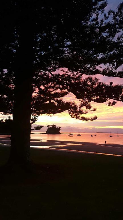 Close To Beach Daire Auckland Dış mekan fotoğraf